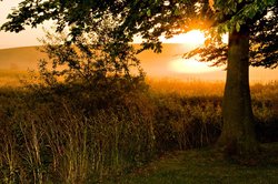 Silbury Hill, Wiltshire Wallpaper