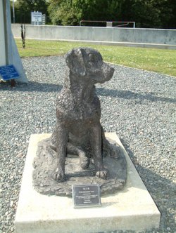 Battle of Britain Mascot Capel le Ferne