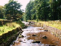 Trough of Bowland Wallpaper