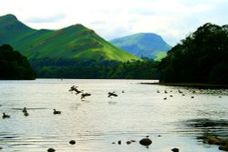 Derwentwater with Cat Bells. Wallpaper