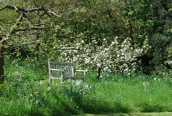 The garden in Spring Wallpaper