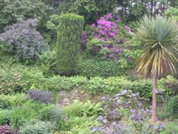 Spring in the garden