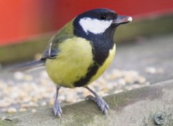 All to myself Wallpaper