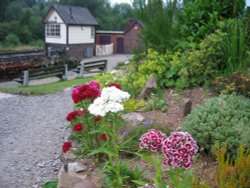 Churney Valley Railway, nature