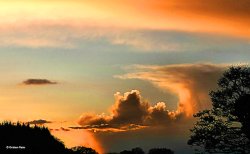 Shilligstone in Dorset Wallpaper