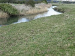 River Ivel Wallpaper