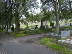 Elswick Cemetery Wallpaper