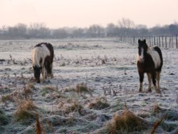 Frosty morning at Great Yarmouth Wallpaper