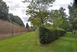 The Wilderness, Ham House near Richmond, Surrey Wallpaper