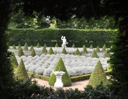 The Cherry Garden, Ham House, Richmond, Surrey Wallpaper