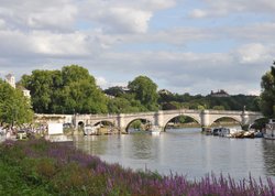 The Thames at Richmond Bridge Wallpaper
