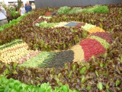 Hampton Court Flower Show Wallpaper