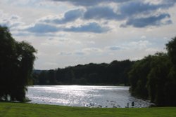 Himley Lake Wallpaper