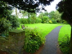 St. Francis Church Wallpaper