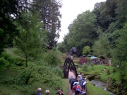 Fairy valley leading to King Kong and the dinosaur valley Wallpaper