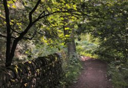 Fewston Reservoir 001 Wallpaper