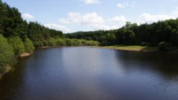 A picture of Swinsty Reservoir Wallpaper