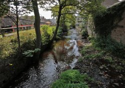 Skipton 008 Wallpaper