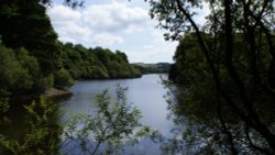 A picture of Swinsty Reservoir Wallpaper