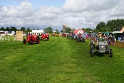 A picture of Otterburn Fair Wallpaper