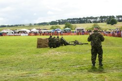 A picture of Otterburn Fair Wallpaper