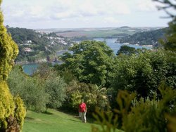 View over Salcombe Wallpaper