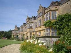 Minterne Gardens