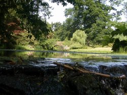 Minterne Gardens