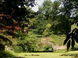 Minterne Gardens