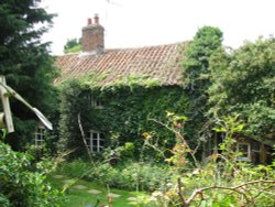 The Cattery Wallpaper