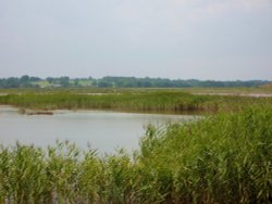 Part of Blythburgh Marshes. Wallpaper