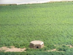 Pillbox, taken from the Lighthouse Wallpaper