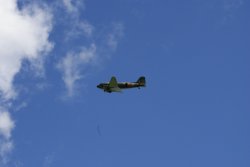 A picture of Otterburn Fair Wallpaper