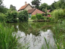 Bramerton Pond in the Village Wallpaper