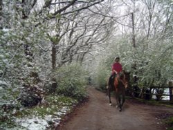 Frosty ride in Thundersley
