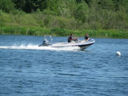 A view of Whitlingham Park Wallpaper
