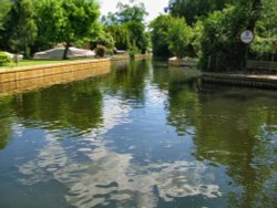 River Ant at Neatishead Wallpaper