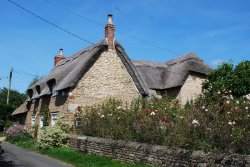 Thatched cottage Wallpaper