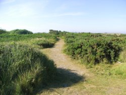Beach is at the far end.