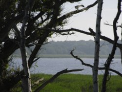 Benacre Broad Wallpaper