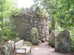 Bicton Park Wallpaper