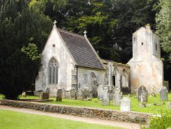 Bicton Park Wallpaper