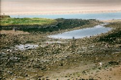 Low tide at Lindisfarne. Wallpaper