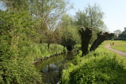 Loughton Linear Park in springtime