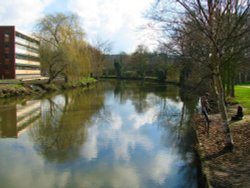 River Wensum Wallpaper