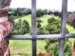 A view from inside Freston Tower