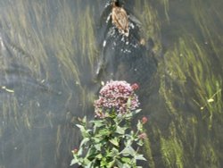 A random view of Canterbury. Wallpaper