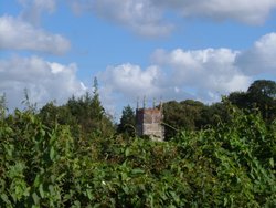 Cruwys Morchard, Parish Church Tower from an unusual angle Wallpaper