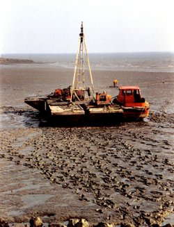 Footprints in the mud.