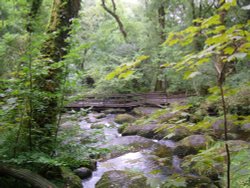 Becky Falls Wallpaper